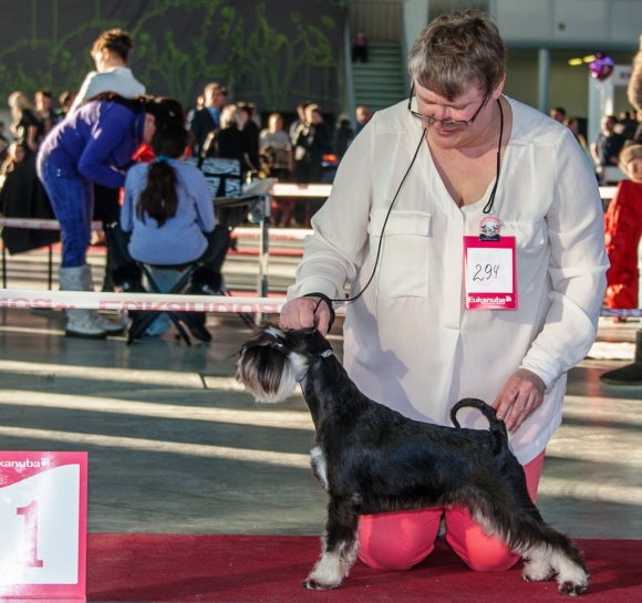 National Dog Show of all breeds memory LP Sabaneyeva (CAC, CH RKF)